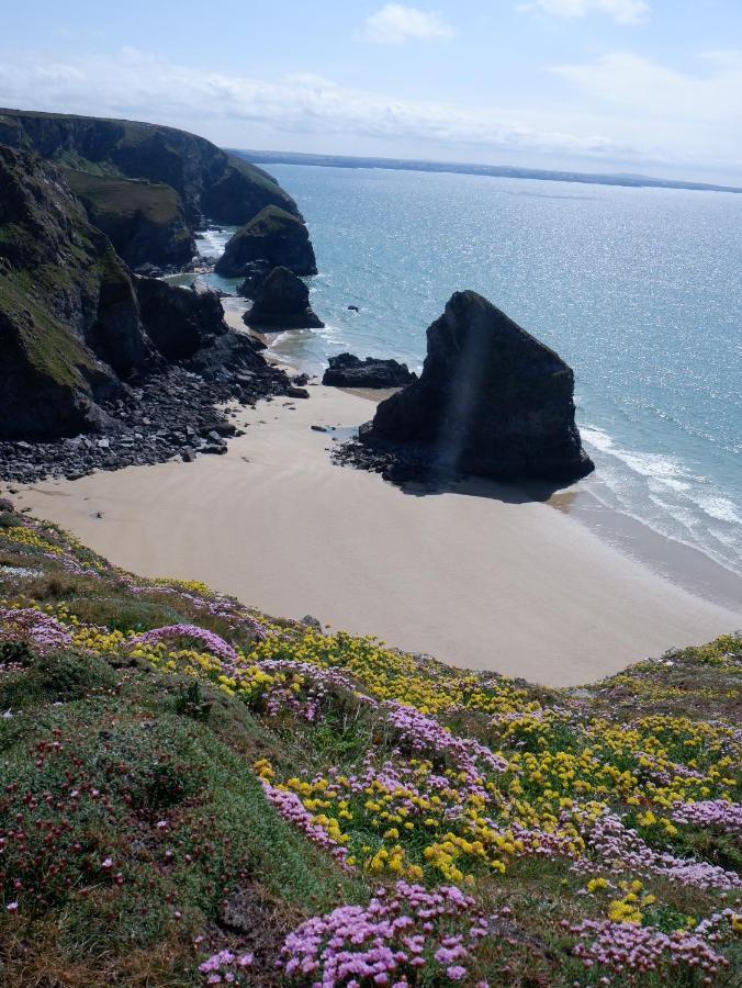 בוסקאסל Polrunny Farm Blackberry Cottage - Cornwall Bliss In Sight Of The Sea מראה חיצוני תמונה
