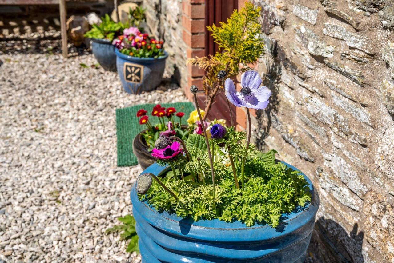 בוסקאסל Polrunny Farm Blackberry Cottage - Cornwall Bliss In Sight Of The Sea מראה חיצוני תמונה