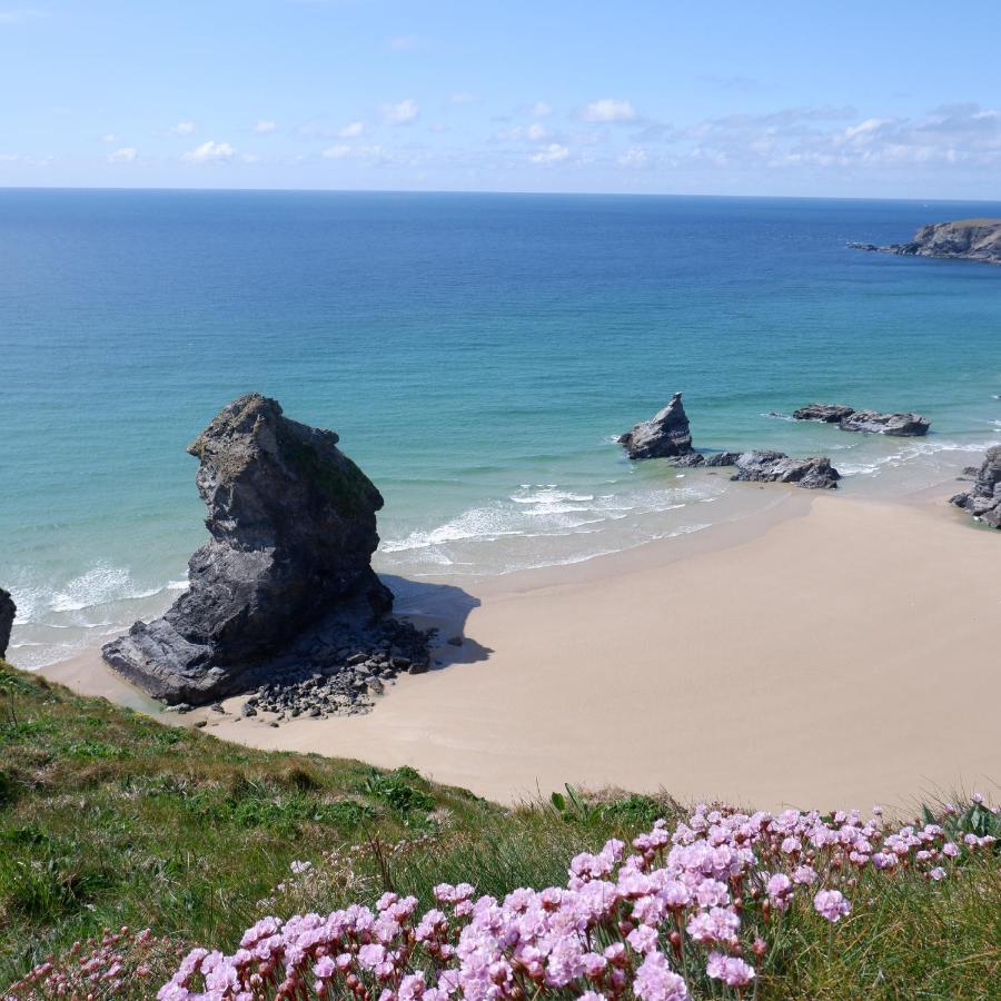 בוסקאסל Polrunny Farm Blackberry Cottage - Cornwall Bliss In Sight Of The Sea מראה חיצוני תמונה