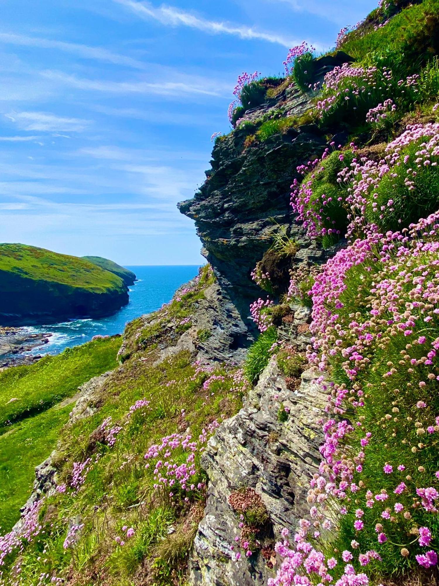 בוסקאסל Polrunny Farm Blackberry Cottage - Cornwall Bliss In Sight Of The Sea מראה חיצוני תמונה